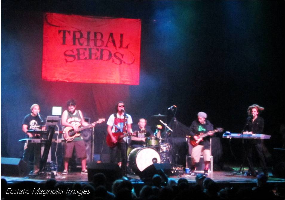 Tribal Seeds